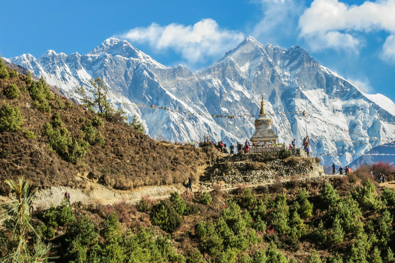 Food exporter in Nepal